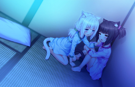 1375550 (a): :2370x1530